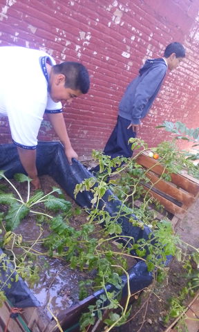 Esc.Sec.General No.5 Jose vasconcelos Sembrando_regando_y_cosechando2